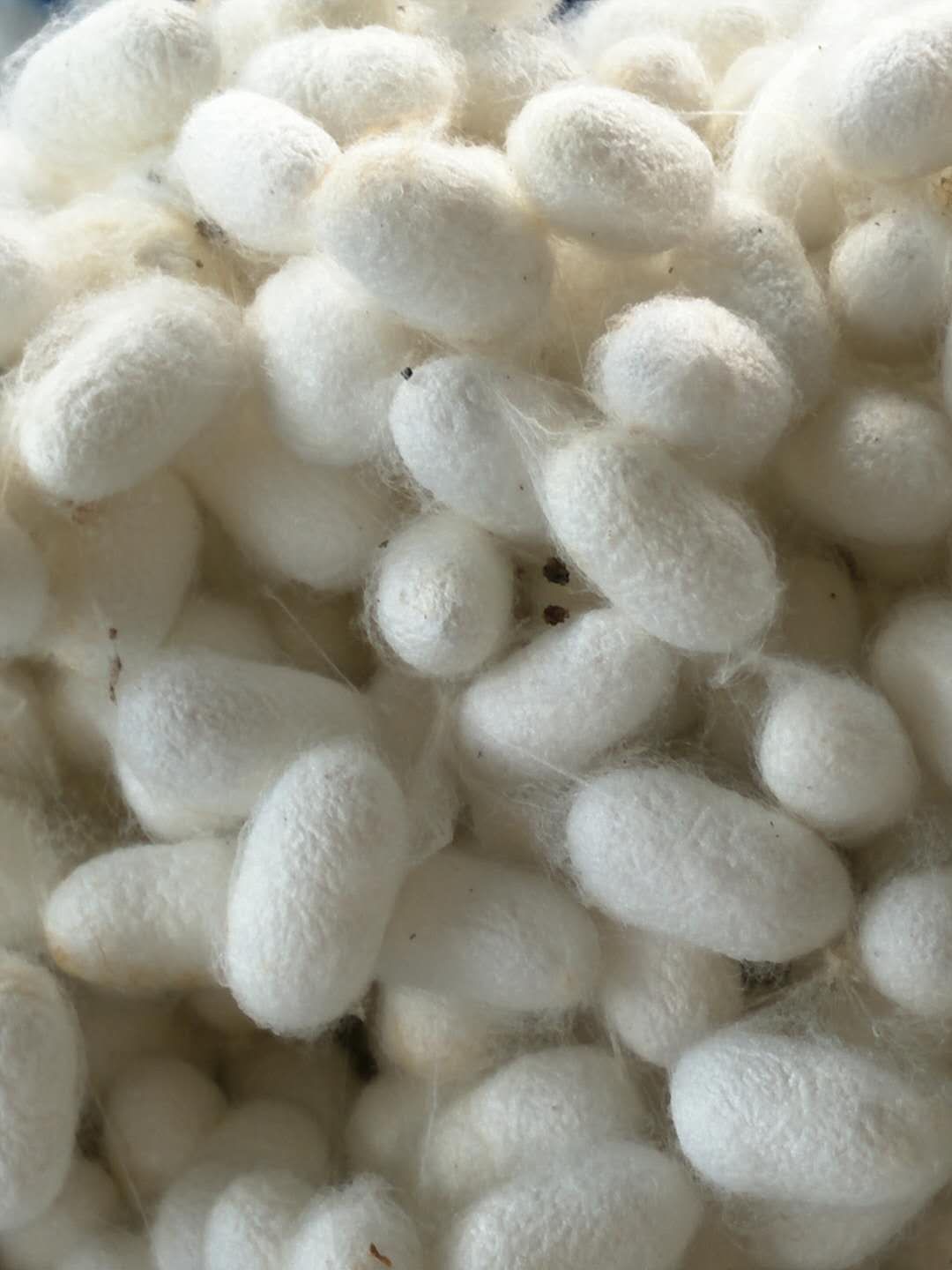 20180821102457197.jpg
