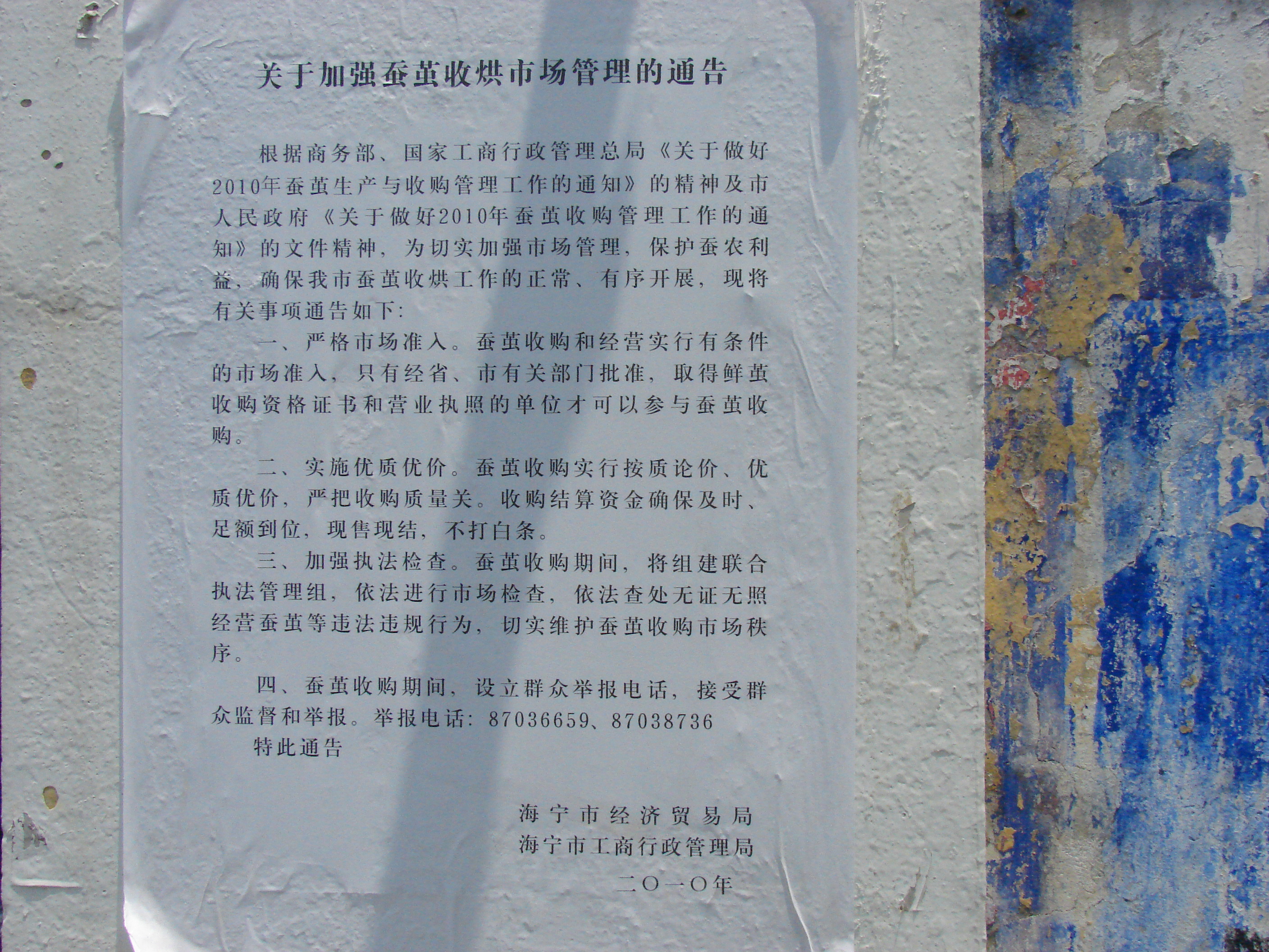 放大